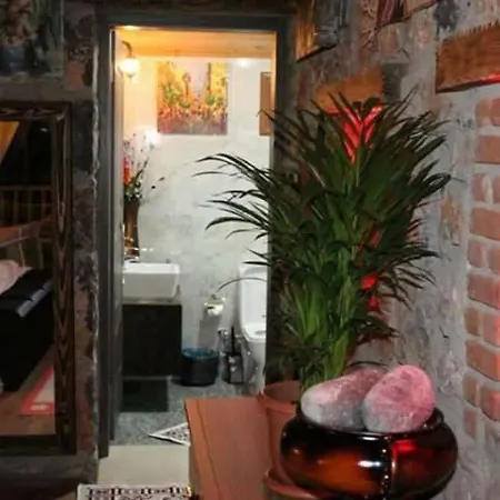 Engins Houses Nara Rest *
